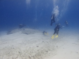 IMG 2872 Divers
